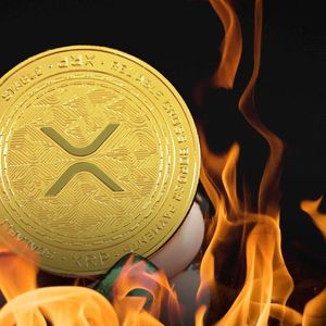 Ripple Could Burn Their XRP Right Now: Former Executive