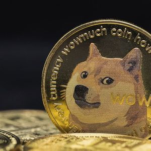 Dogecoin Sees Massive Spike in Network Activity: What's Behind the Surge?