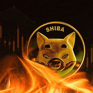 SHIB Army Sees Massive Drop in Burn Rates, Here’s What’s Happening to Price