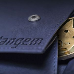 Tangem SHIB Wallet Pre-Order Update Imminent
