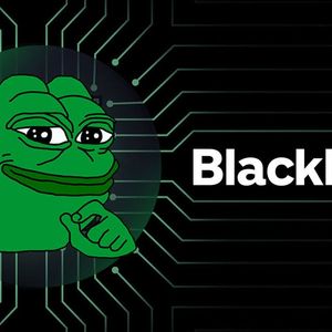 BlackRock’s Involvement With PEPE Can Be Explained Now: Details