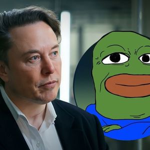 Elon Musk's Tweet Sends BOB Up 43%: Here's What You've Missed