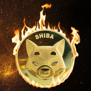 SHIB Burn Rate Spikes 8,700% As Shibarium Reveals Shiba Inu Burn Mechanism