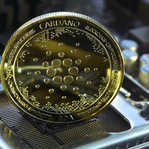 Major Cardano (ADA) Accumulation Spotted Among Large Holders