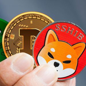 SHIB, DOGE, and PEPE's Market Making Insights Unmasked