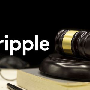 Ripple Lawsuit: Pro-XRP Lawyer Reveals Expectation for Summary Judgment Verdict