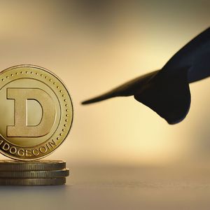Dogecoin (DOGE) Whale Transaction Jumps 152%, Will Price Gain Follow?