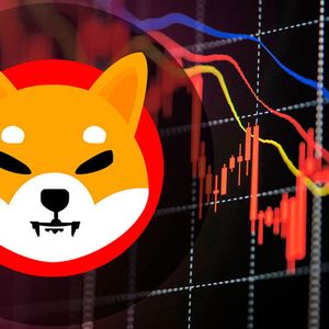 Shiba Inu (SHIB) Growth Markers Plunges to Zero, Should Community be Worried?