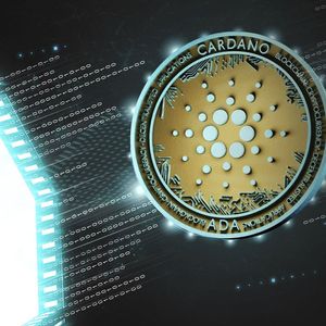 Cardano Whales Move 313 Billion ADA As Network Shows Outstanding Performance