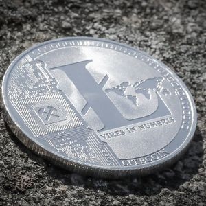 Litecoin Price History Unveils Major Hint Prior to LTC Halving