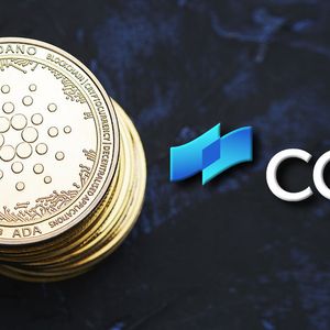 Cardano DJED Stablecoin Issuer COTI Shares Troubling News, What's Happening?