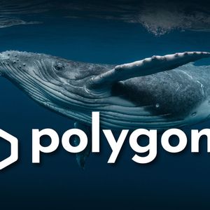 Polygon (MATIC) Sees 742% Surge in Big Moves as Whales React to New Development