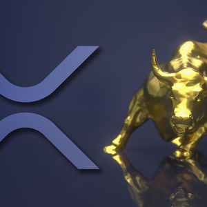 Unprecedented XRP Price Surge Predicted by Expert Trader