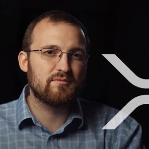 Cardano Founder Wants Truce With the XRP Community