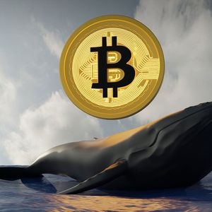 Bitcoin Eyes Bullish Scenario as Thousands of BTC Acquired by Whales