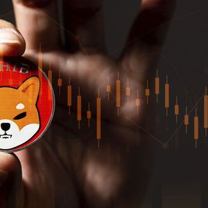 Shiba Inu's Major Exchange Plunges to Absolute Lows Amid SHIB Price Crash