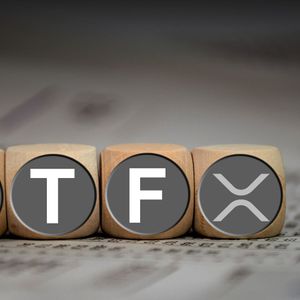 XRP Eyes Big Fund Inflows as Whopping $200 Million Injected on Epic ETF Boom