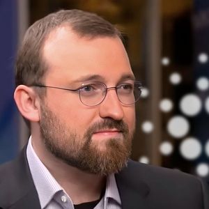 Cardano is 'Growing' Under Harshest Condition - Charles Hoskinson