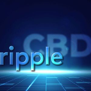 Ripple Partners with Industry Titans in Major Giveaway to Fuel CBDC Innovations