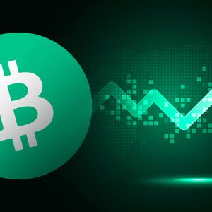 Bitcoin Cash (BCH) 70% Rally Has Fundamental Reasoning Behind It