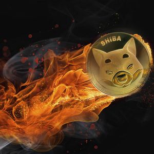 SHIB Burns Jump 550% as Shiba Inu Price Stays in Green