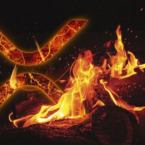 Lead Ripple Dev Explains XRP Burn Spike as 247,000 Tokens Gone