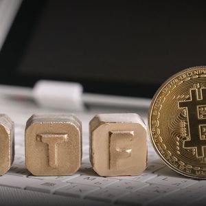 Bitcoin ETF Bullish Effect On Bitcoin (BTC) Price Has One More Signal, Analyst Says