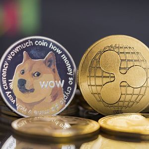 XRP and Doge to Outperform Bitcoin, but There's a Catch: Trader
