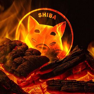 Weekly SHIB Burn Rate 76% Down Despite Great Shibarium News