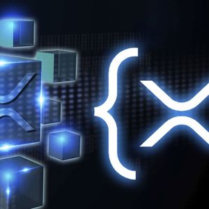 XRP Rewards Ideas for XRPL Blockchain Participants Indicated by Dev