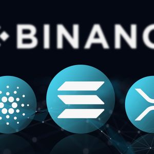 Here's How Much Dogecoin (DOGE), SOL, XRP Binance Holds