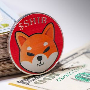 Large Shiba Inu (SHIB) Transactions Keep High, But Here’s Major Catch