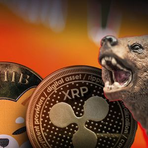 XRP and Shiba Inu (SHIB) Aim to Punish Bears, Santiment Reveals the Secret Sauce