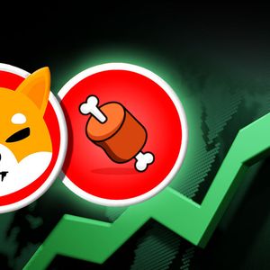 Shibarium’s BONE Token Attracts Massive 145% Spike in New Addresses