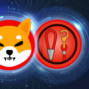 SHIB, LEASH Lead the Pack in CMC Trends, Here’s Reason