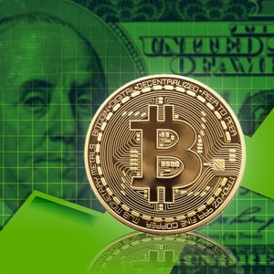 Bitcoin (BTC) Run to $30,000 Is Not What You Think At All