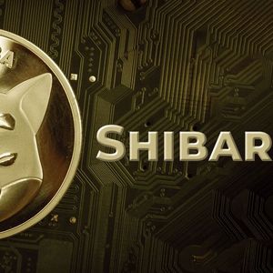 This Shibarium Project Unleashes Ambitious Vision for Shiba Inu Token