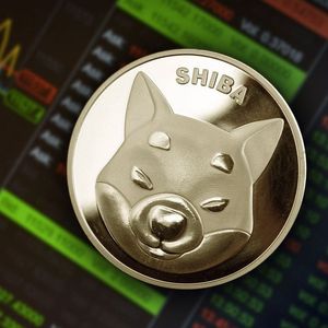 Whales Move 542 Million SHIB Ahead of Upcoming Shibarium Launch