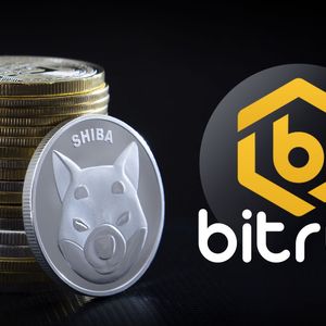SHIB Community Receives Exciting News From Bitrue Crypto Exchange