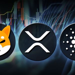 How SHIB, XRP, ADA Might Benefit as Glassnode CEO Predicts Market Rotation