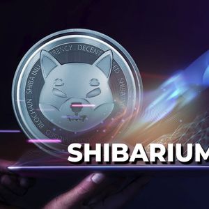 Shibarium Utility Soars to New All-Time High in Just 2 Days: Puppyscan