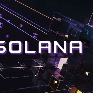 Solana Q2 Performance, Here's the Role Played by its First Memecoin