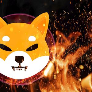 SHIB Burns Jump 2,057% as Shiba Inu Price Surges Impacted by This Crucial Driver