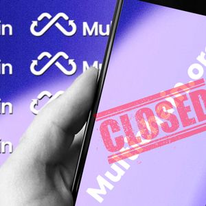 Multichain To Go Down As Horrifying Story Shared by Project