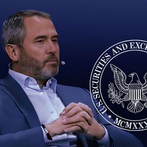 Ripple CEO Says Recent Ruling Was Complete Loss for SEC, Not Split Victory