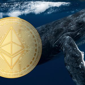 Ethereum (ETH) Whales Are Selling Their Holdings, What's Happening?