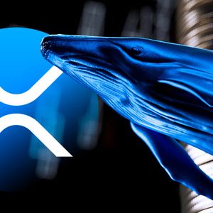 XRP Whales in the Spotlight as Cryptocurrency Prices Soar
