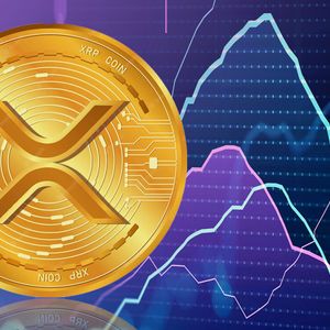 Ex-Ripple Exec Denies Effect on XRP Price, Unveils Real Key Factors