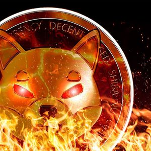 Shiba Inu Burn Rate Up 6546%, What Will Impact be on Price?