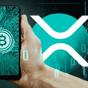 XRP Just Beat Bitcoin (BTC), Here's How